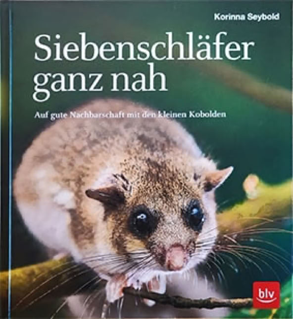 Buchtitel Siebenschläfer ganz nah