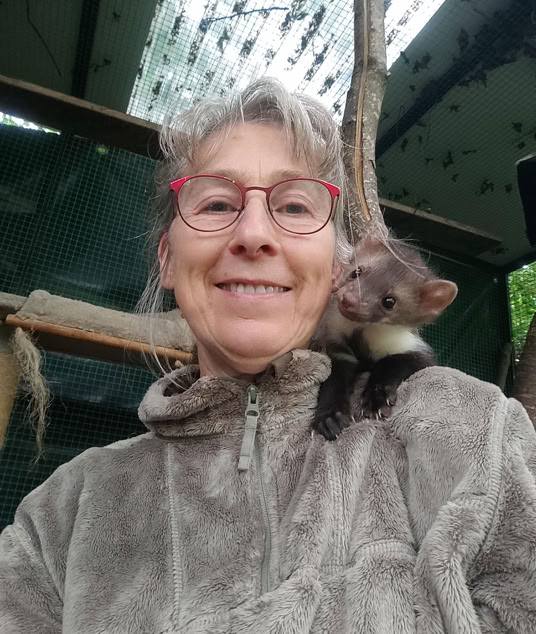 Marderkind auf der Schulter der Betreuungsperson